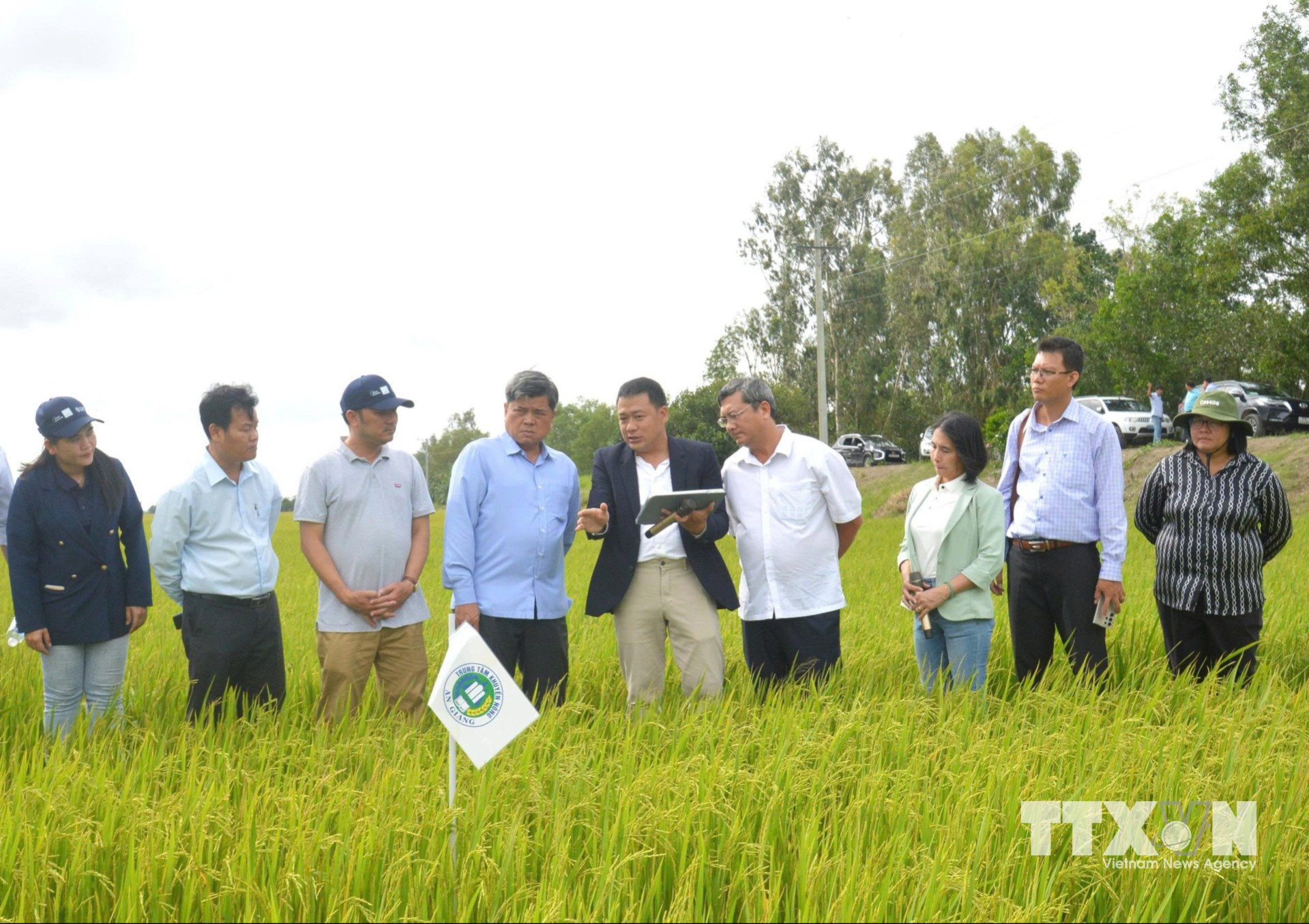 Công nghệ tưới ướt khô xen kẽ (AWD) tích hợp AI đươcj ứng dụng tại cánh đồng lúa của Hợp tác xã Dịch vụ Nông nghiệp Thanh niên Phú Hòa (xã Tân Hội, tỉnh An Giang). (Ảnh: Văn Sĩ/TTXVN)
